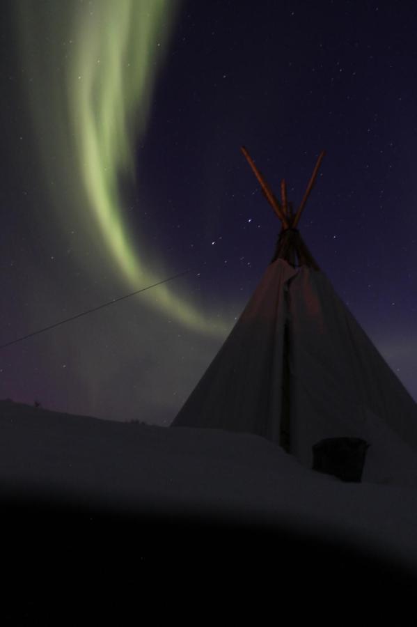 Lofoten Camp สตามซุนด์ ภายนอก รูปภาพ